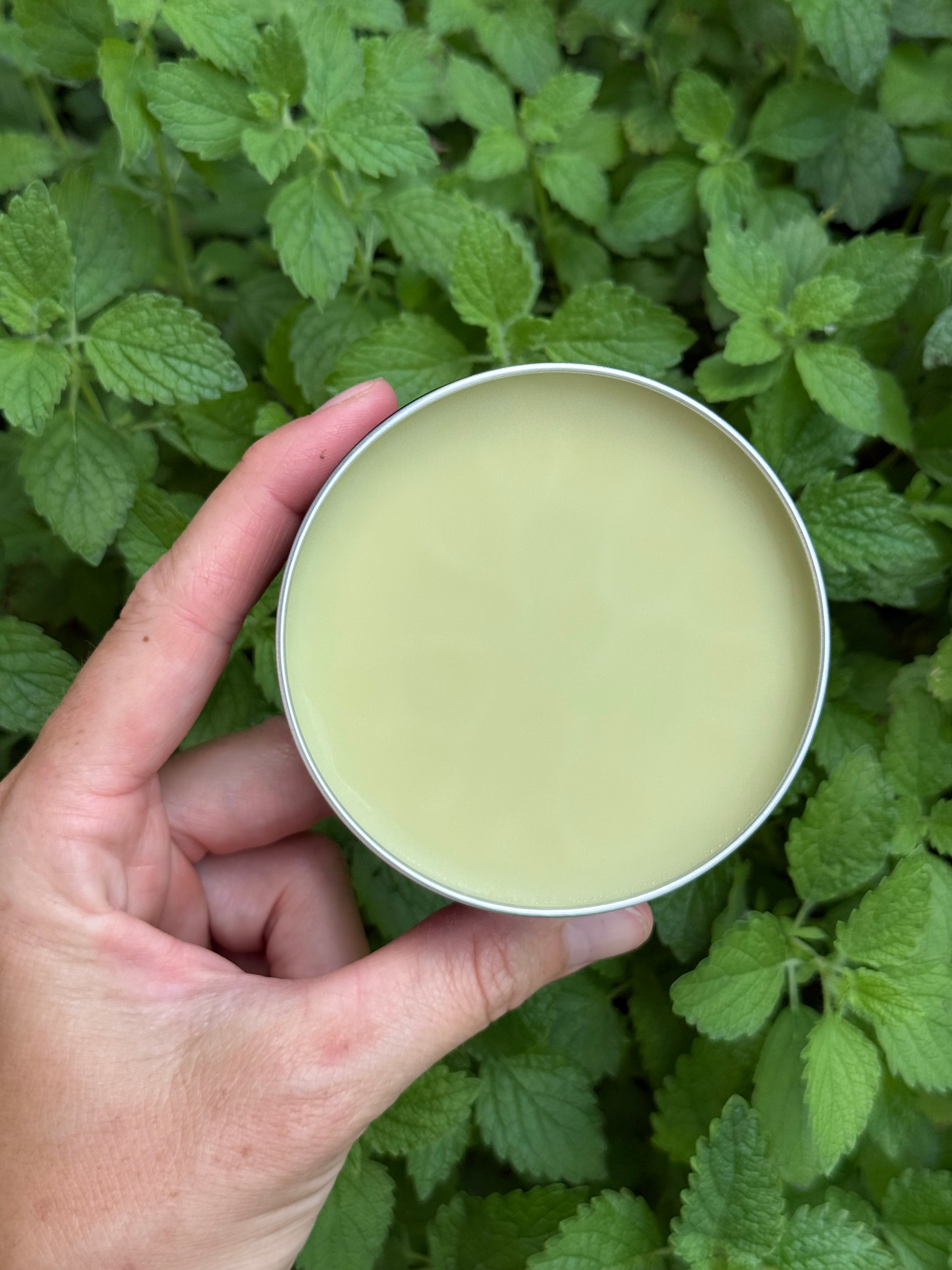 Lemon Balm Salve