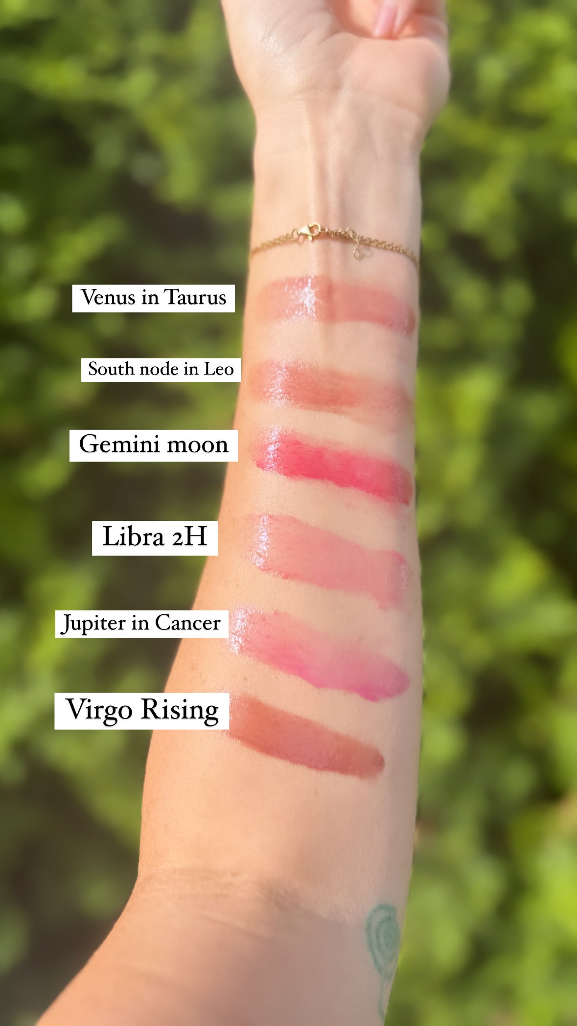 Balmy Lip Gloss - Natalies Naturals Apothecary