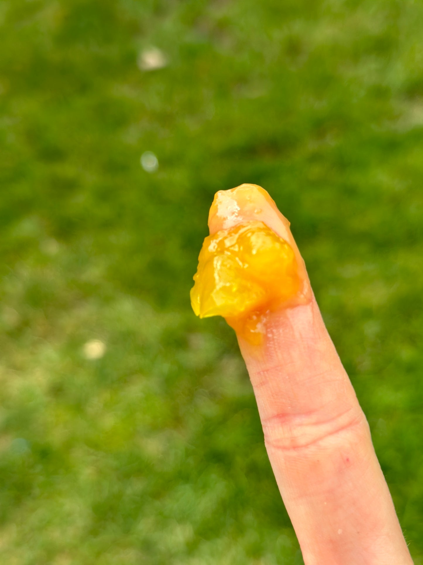 Gold Digger- Tanning Balm