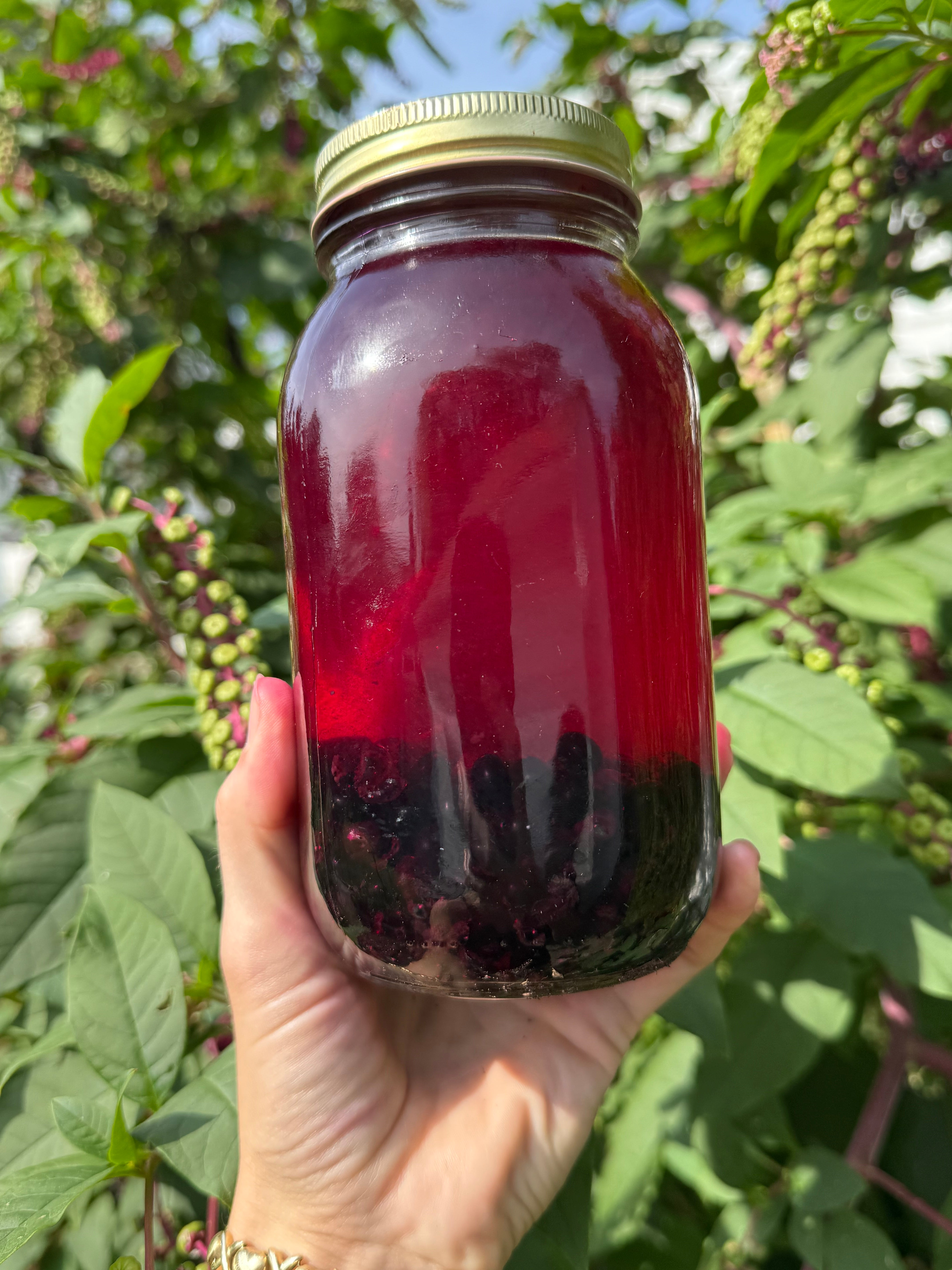 Poke Berry Tincture