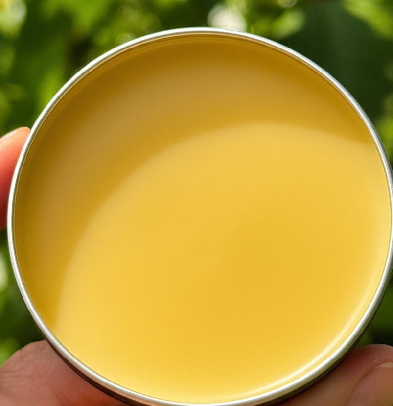 Poke Root Salve-lymphatic massage and support