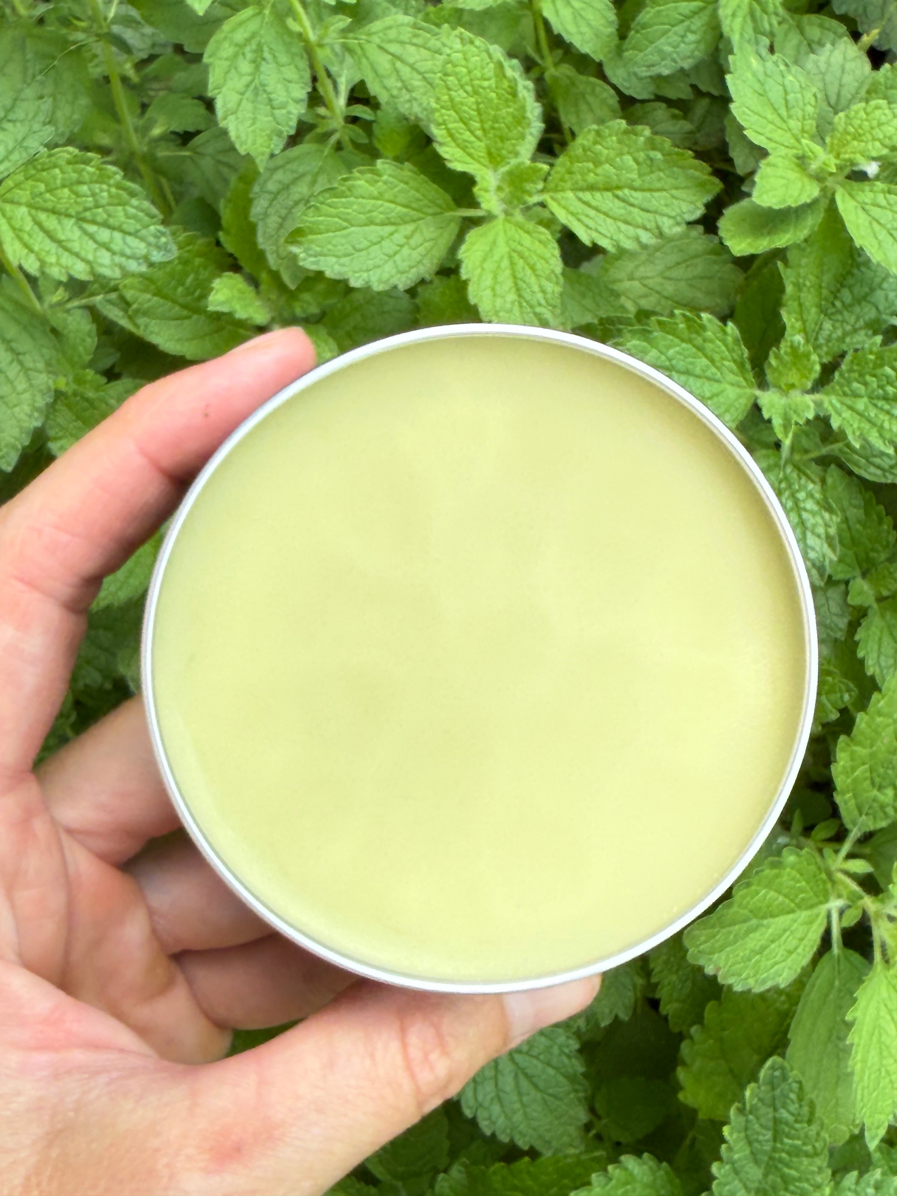 Lemon Balm Salve